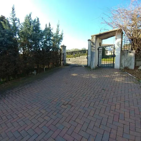Monticelli Mexico * Vago